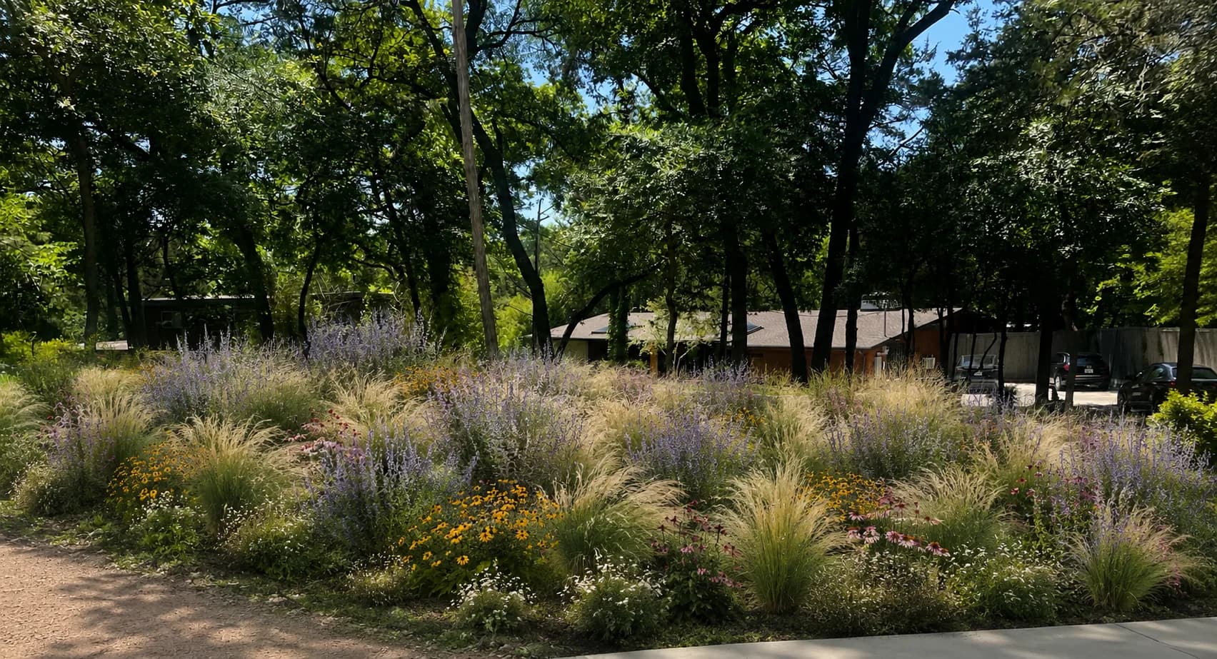 MCM Oak Cliff Hillside Restoration