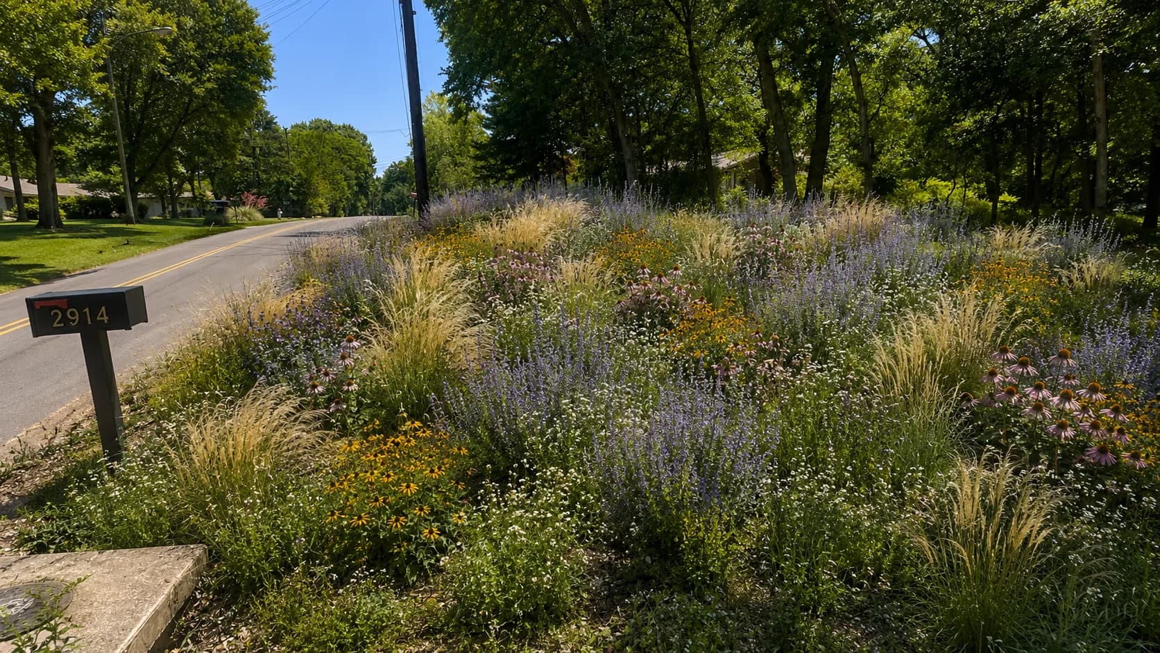 The completed hillside meadow from the street