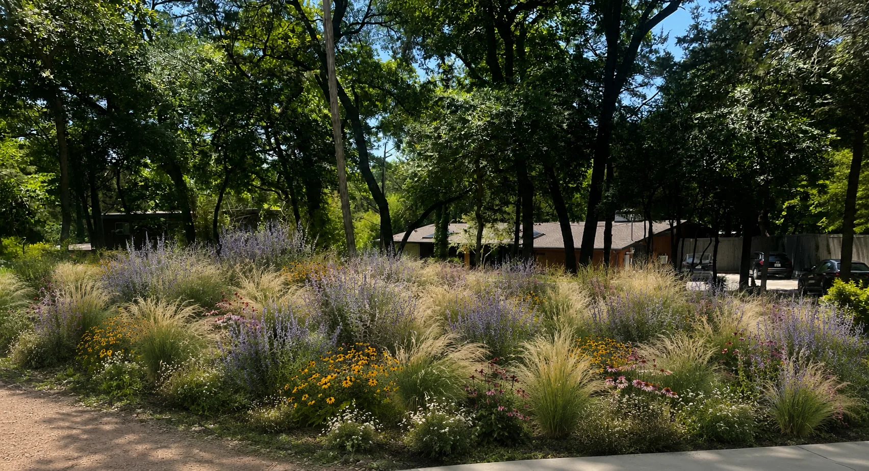 MCM Oak Cliff Hillside Restoration