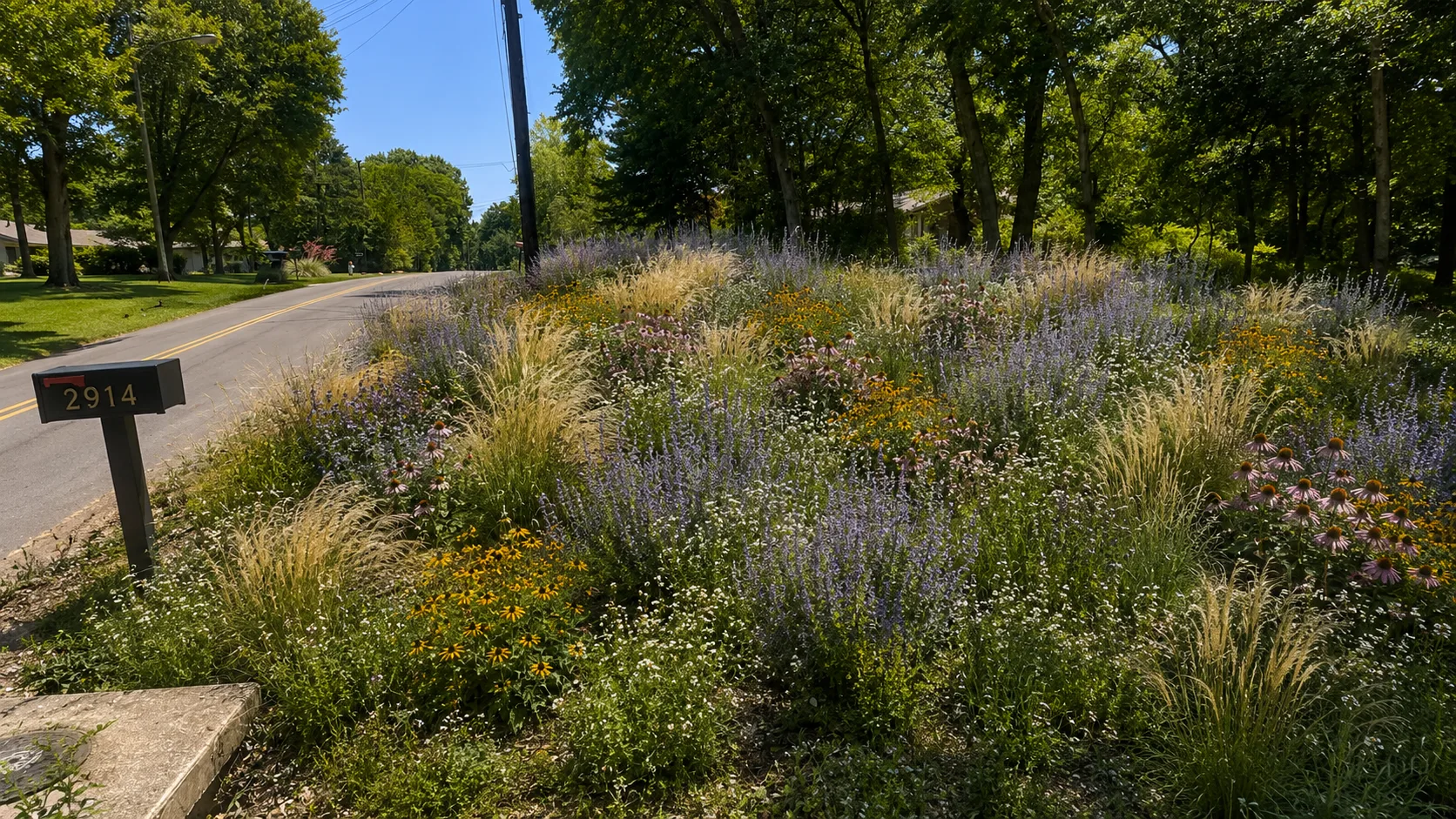The completed hillside meadow from the street